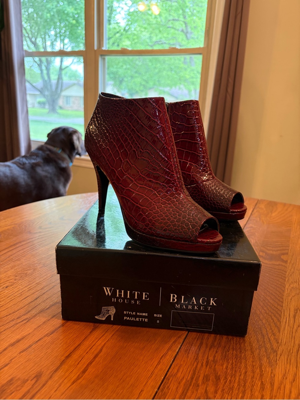 White House Black Market Burgundy Croc-Embossed Peep-Toe Booties
